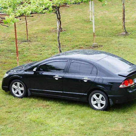 Prionas Paralia Skotinis