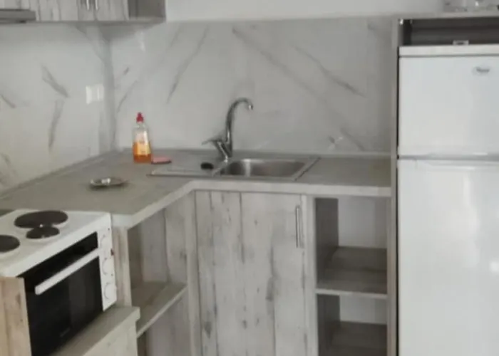 Prionas Paralía Skotínis